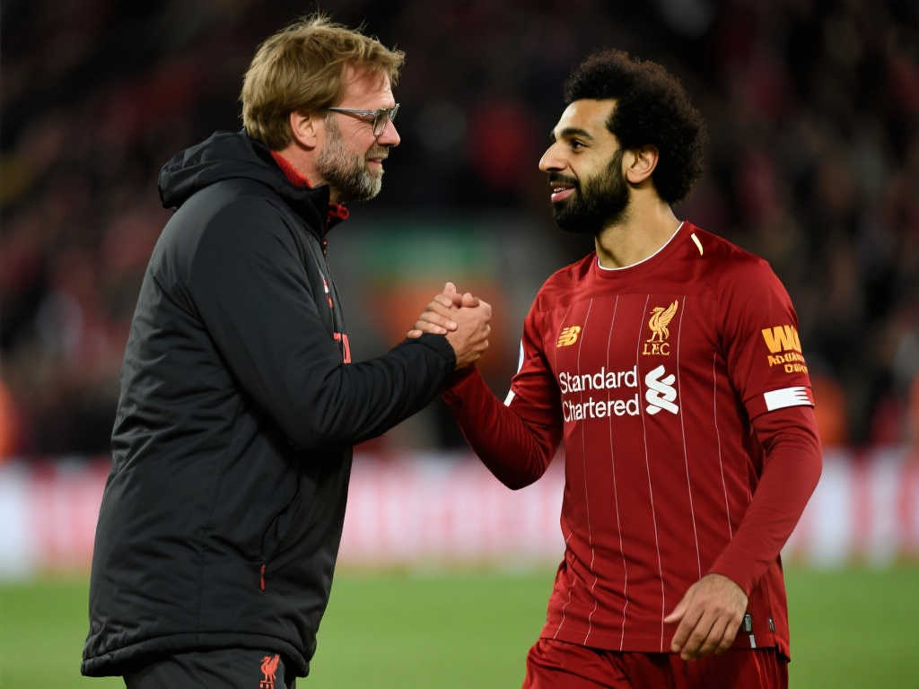 了更多期待 了更多期待